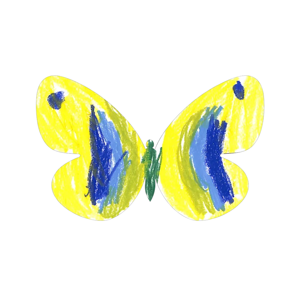 Original Butterfly Image