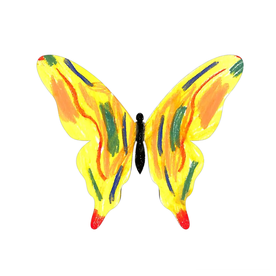 Original Butterfly Image