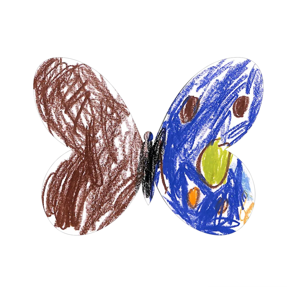 Original Butterfly Image