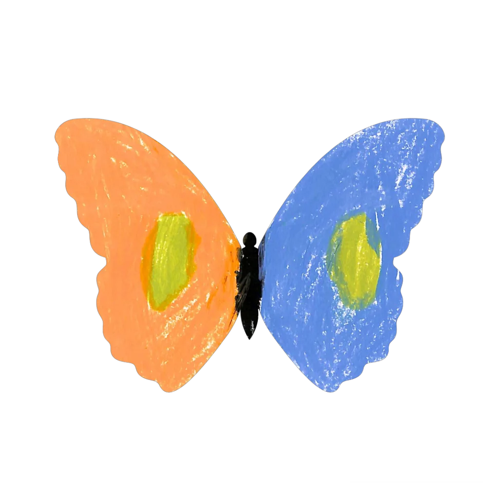 Original Butterfly Image