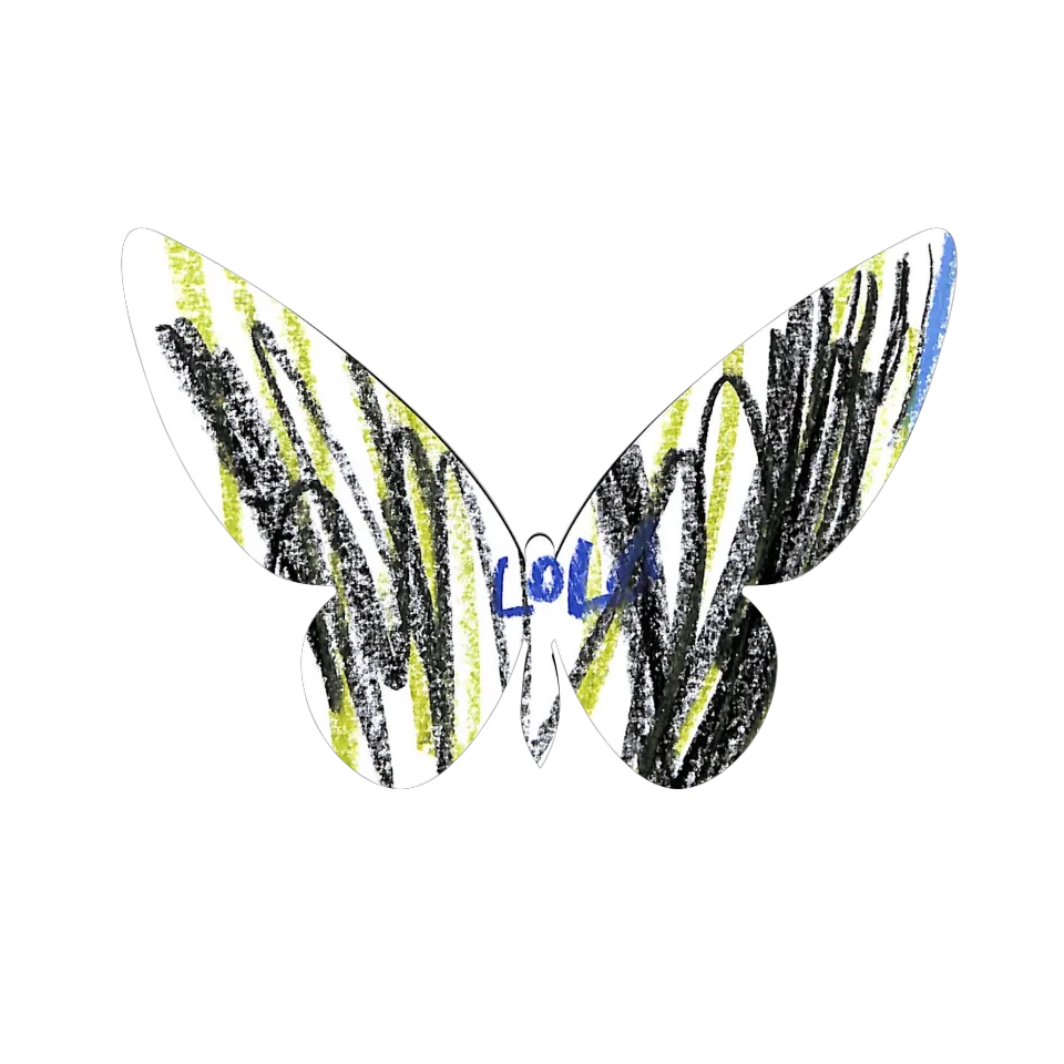 Original Butterfly Image