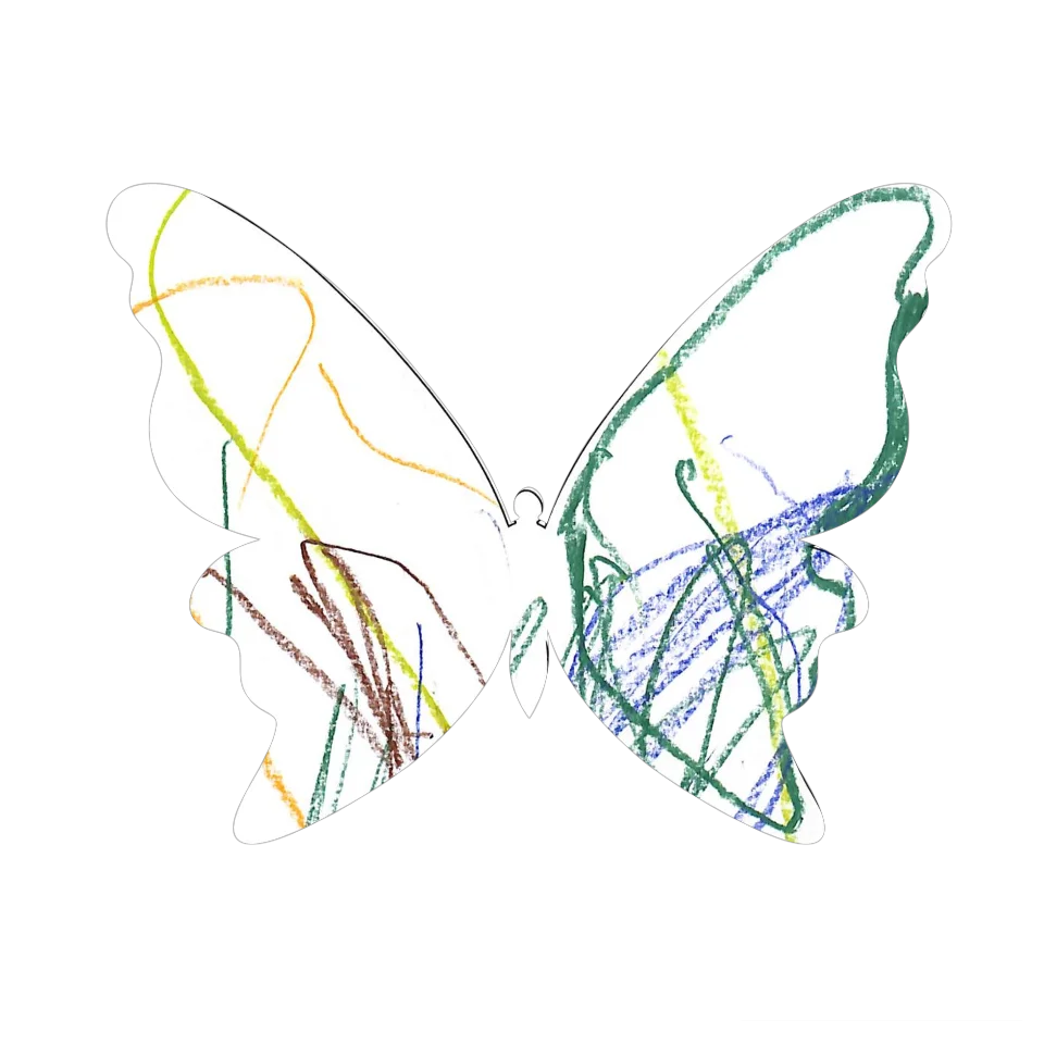 Original Butterfly Image