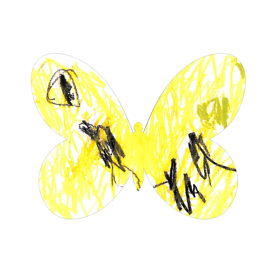 Original Butterfly Image
