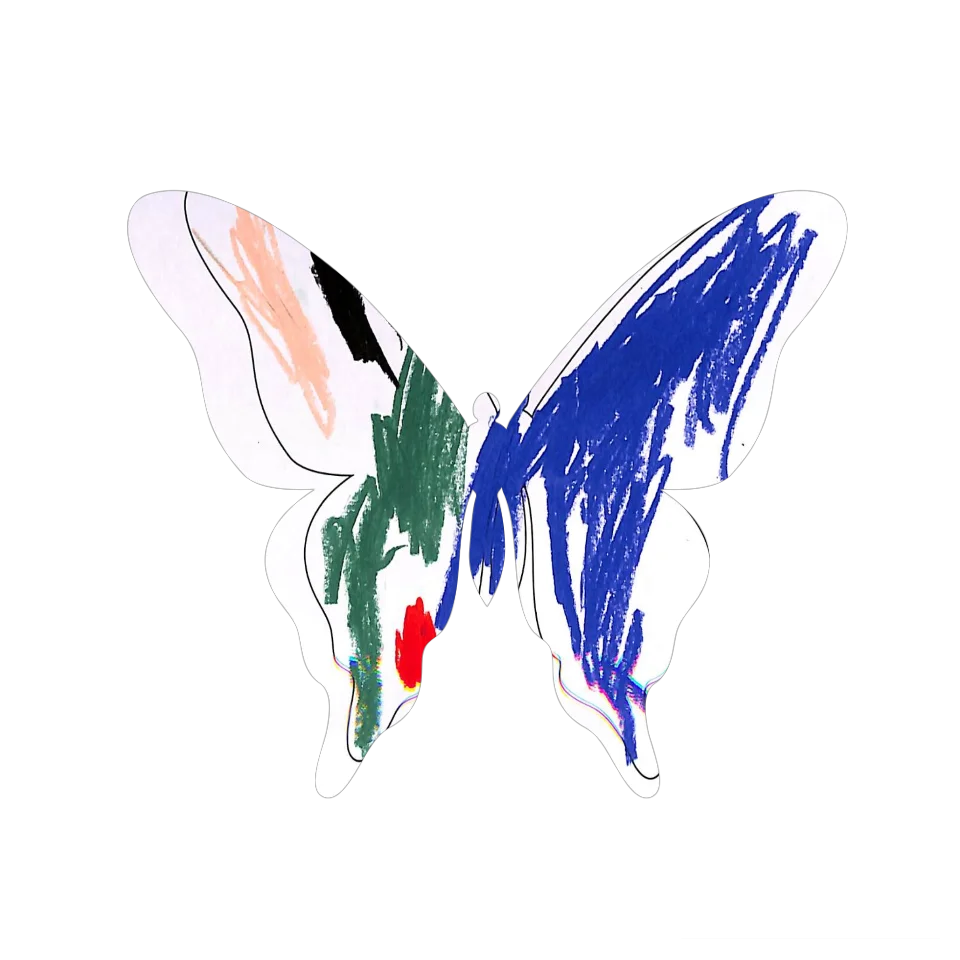 Original Butterfly Image