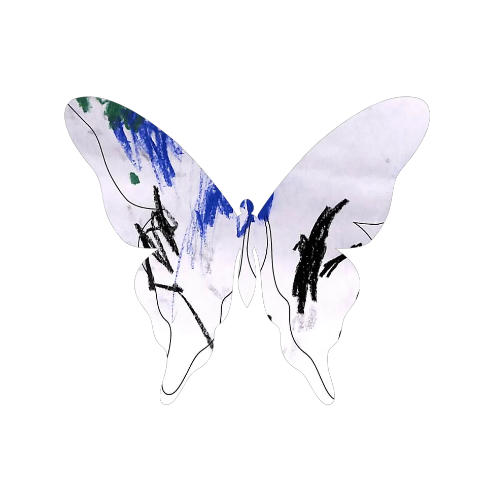 Original Butterfly Image