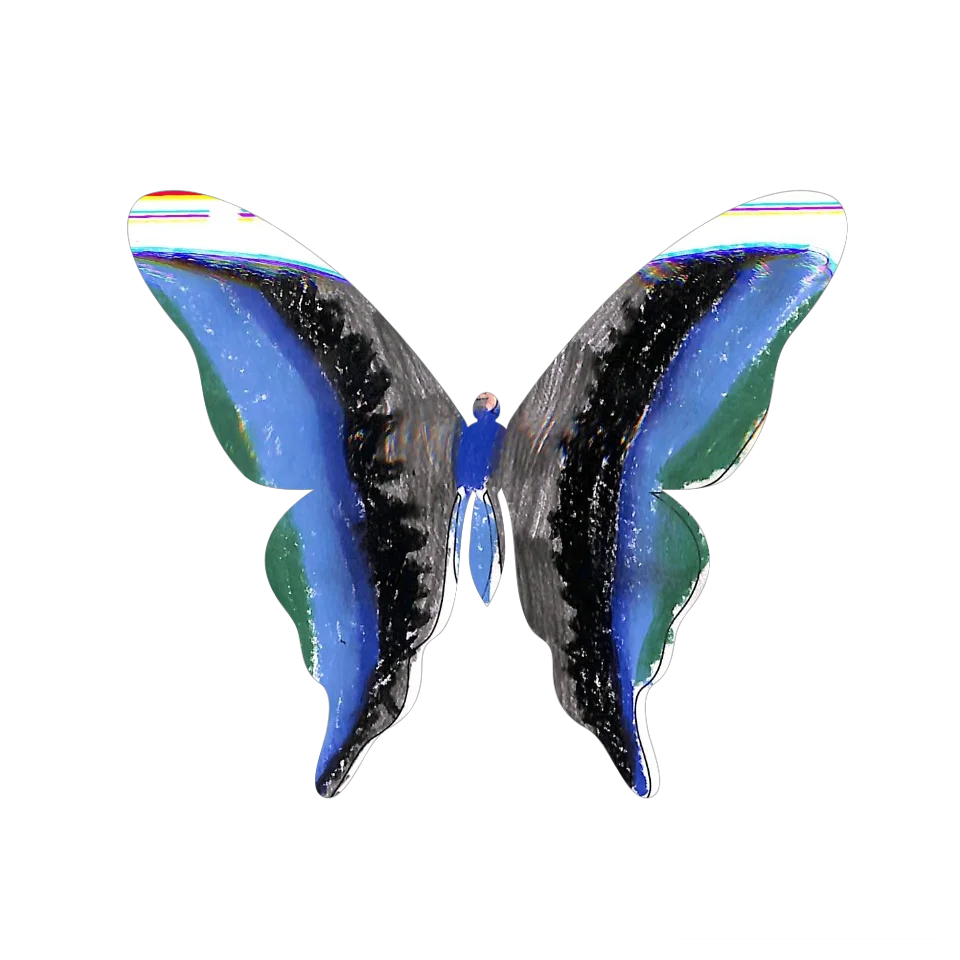 Original Butterfly Image