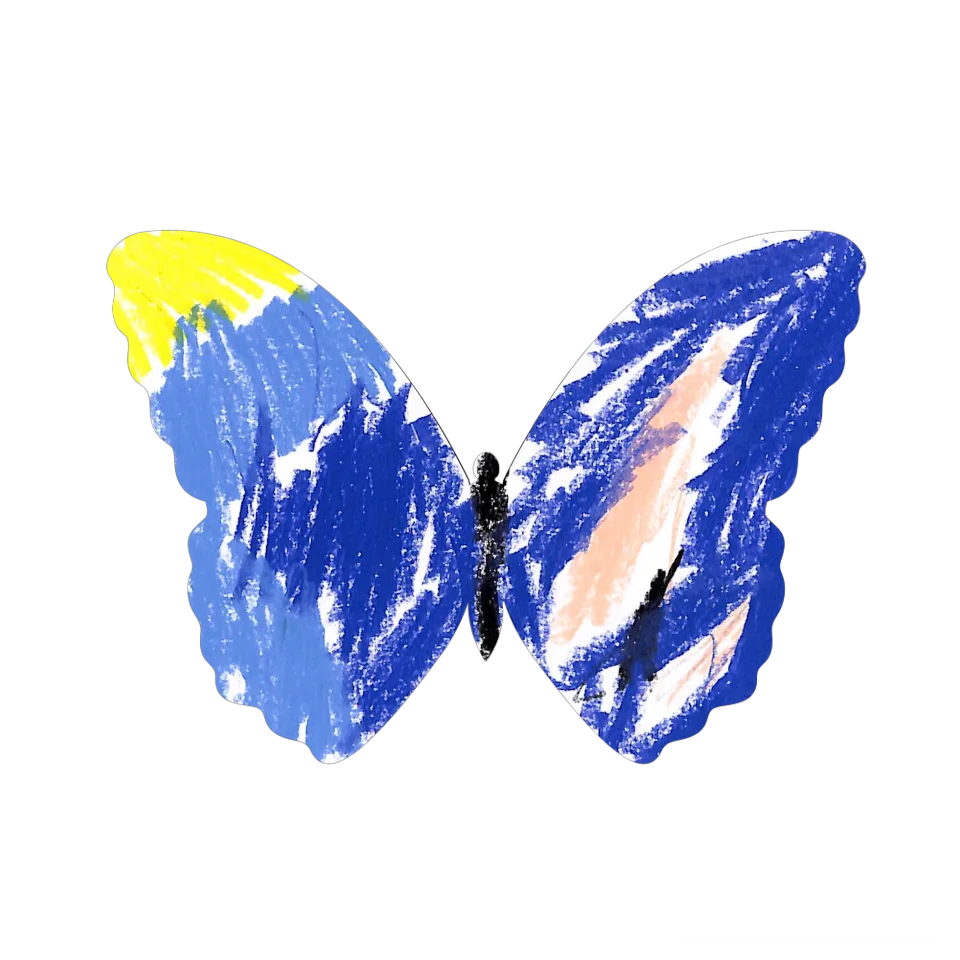 Original Butterfly Image