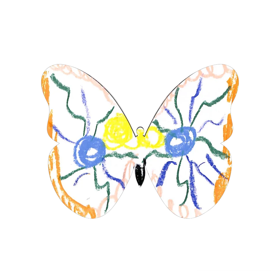Original Butterfly Image