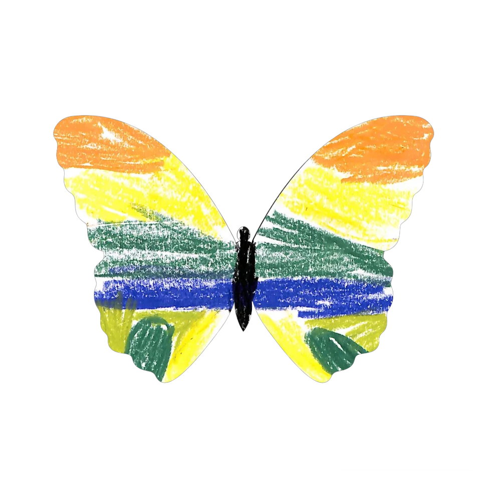 Original Butterfly Image