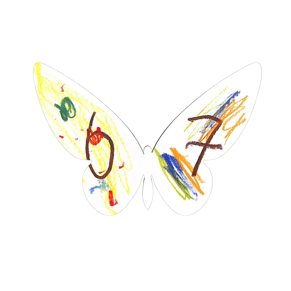 Original Butterfly Image