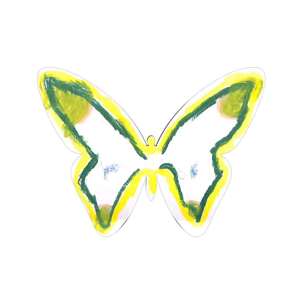 Original Butterfly Image