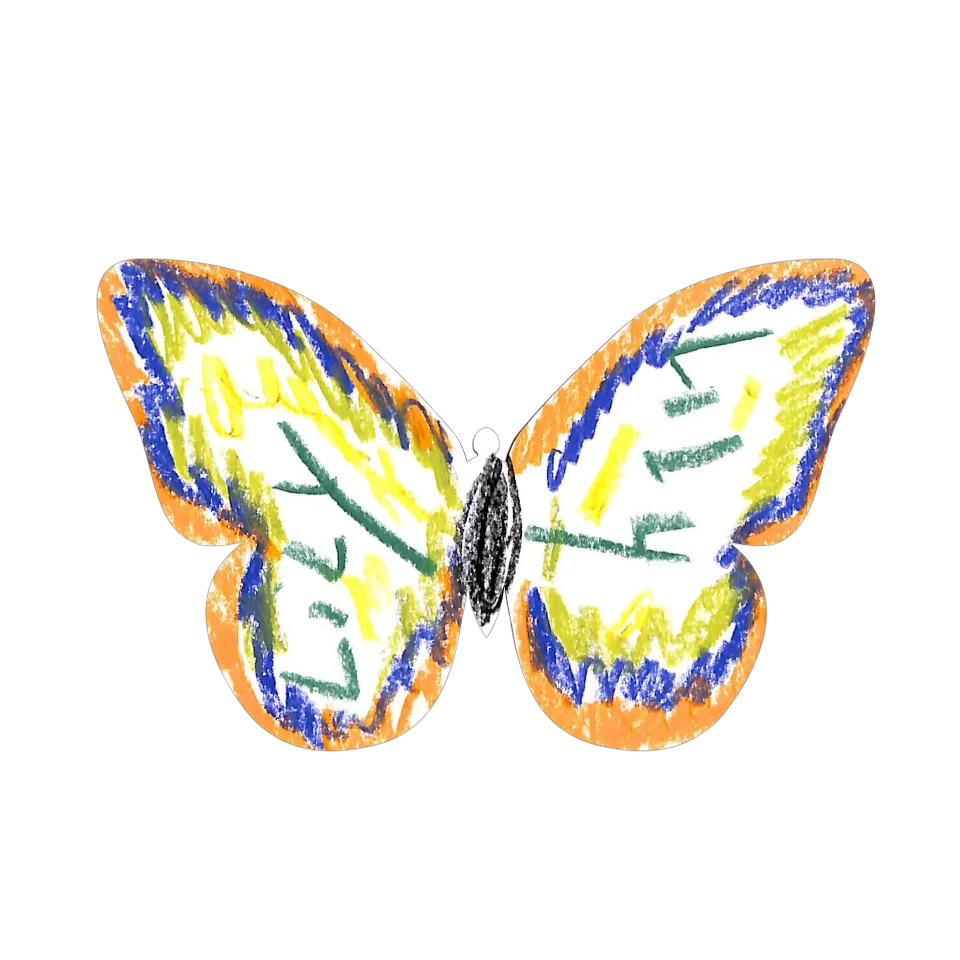 Original Butterfly Image