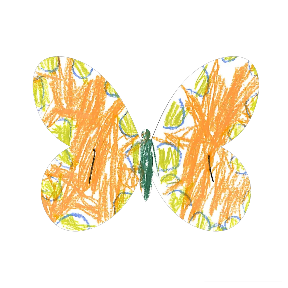 Original Butterfly Image