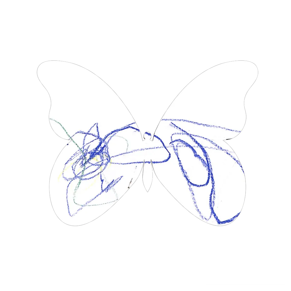 Original Butterfly Image