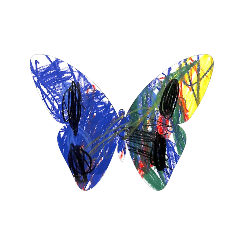 Original Butterfly Image