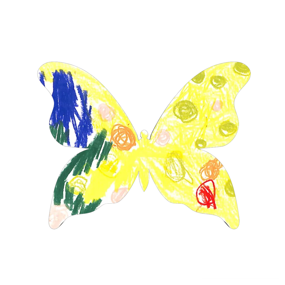 Original Butterfly Image