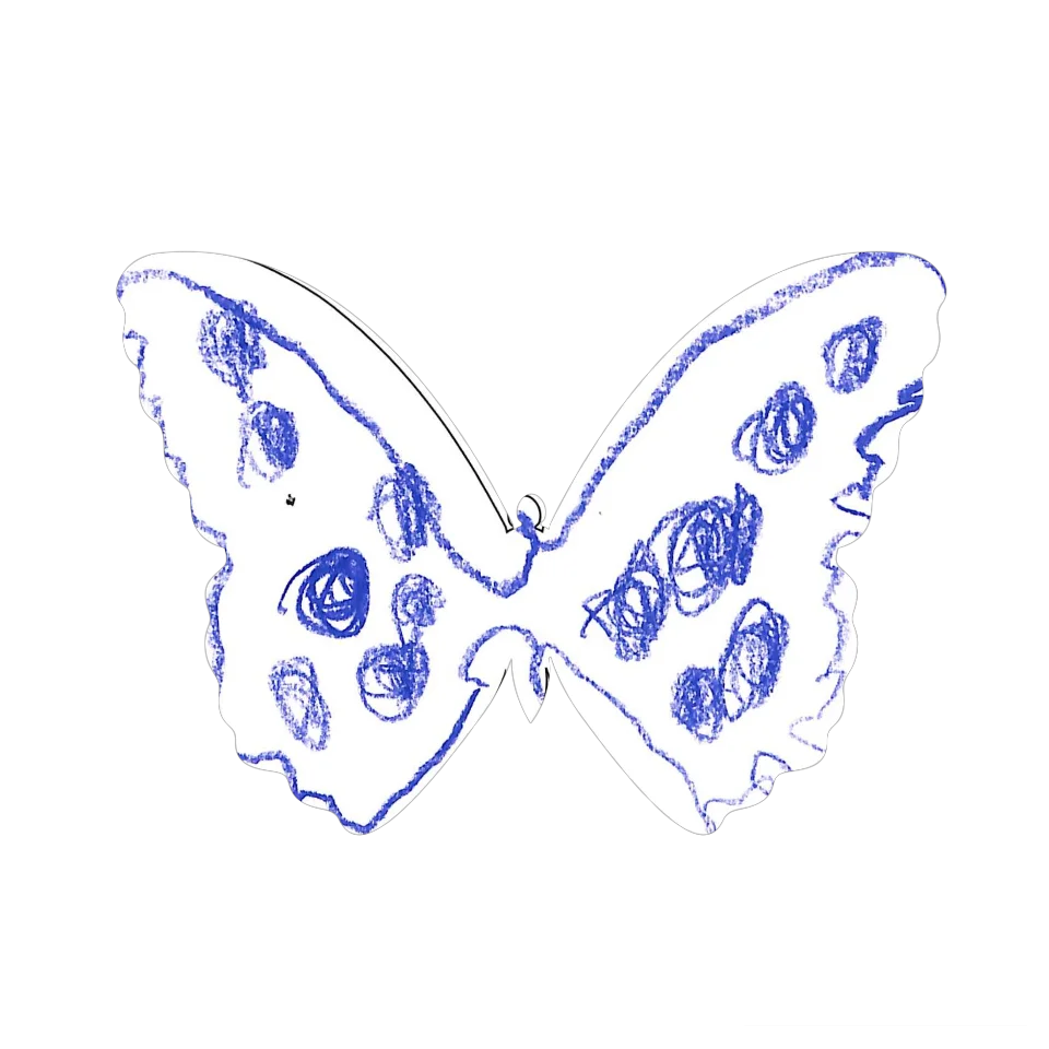 Original Butterfly Image