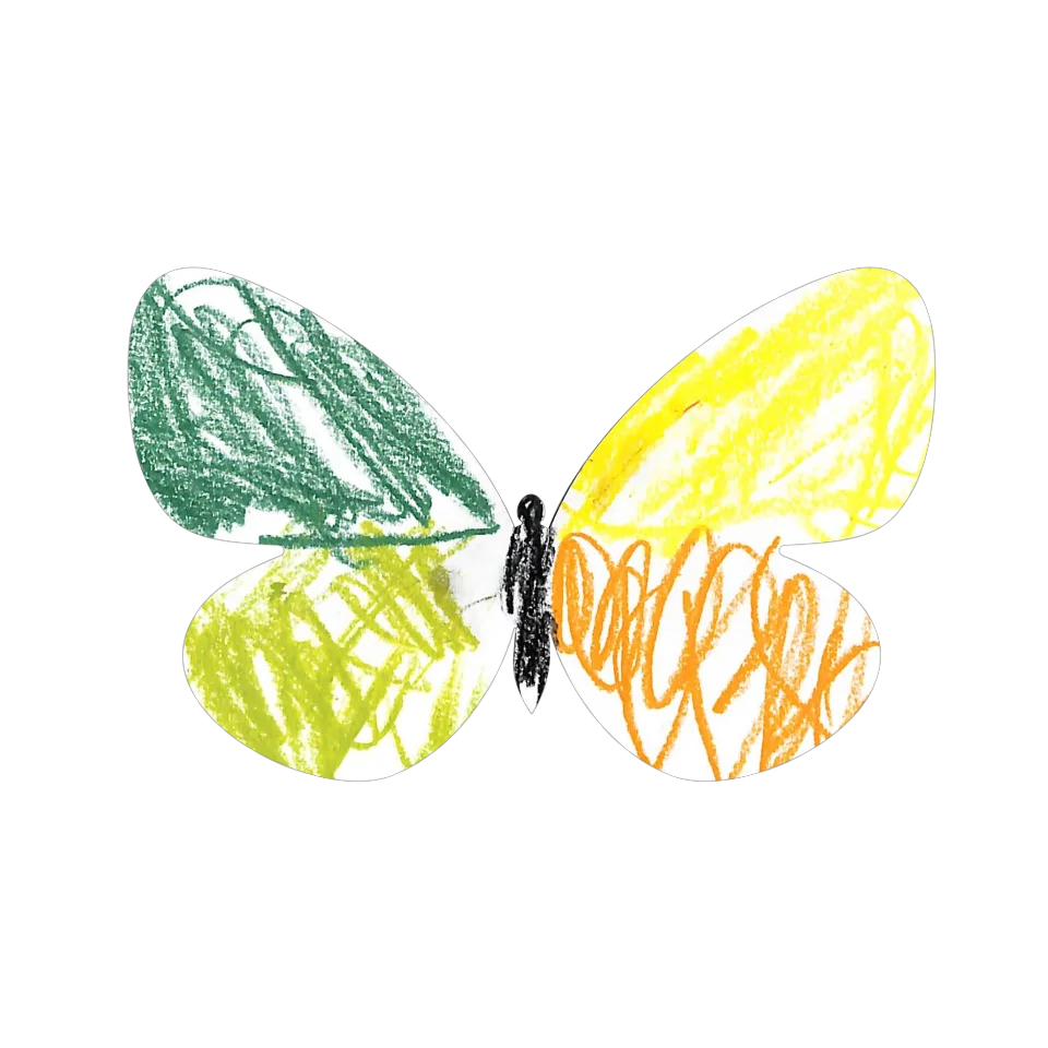 Original Butterfly Image