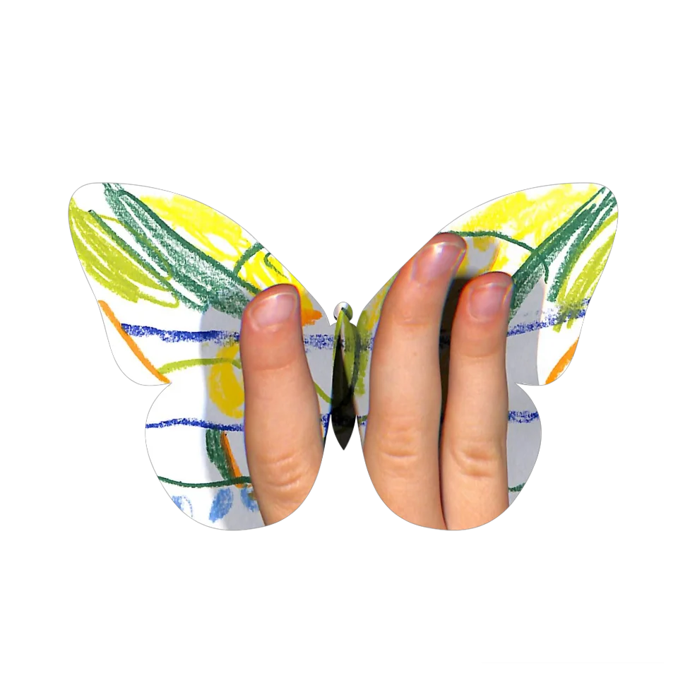 Original Butterfly Image
