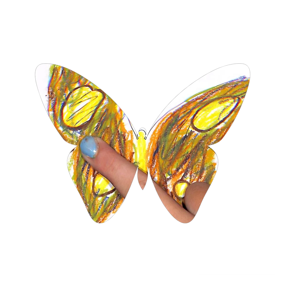 Original Butterfly Image