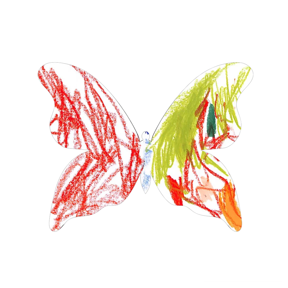 Original Butterfly Image