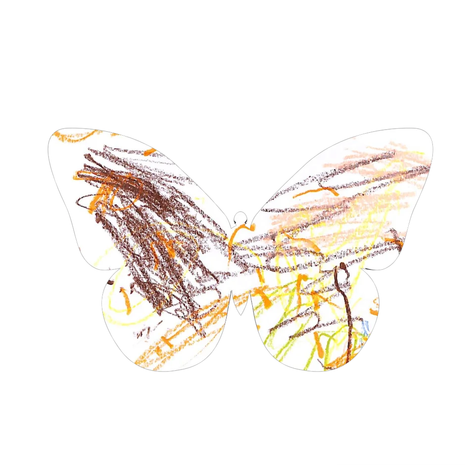 Original Butterfly Image