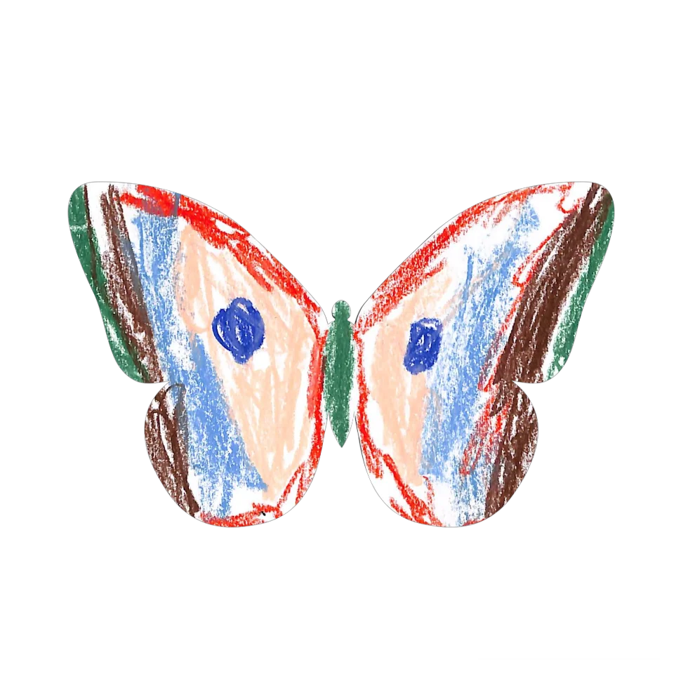Original Butterfly Image