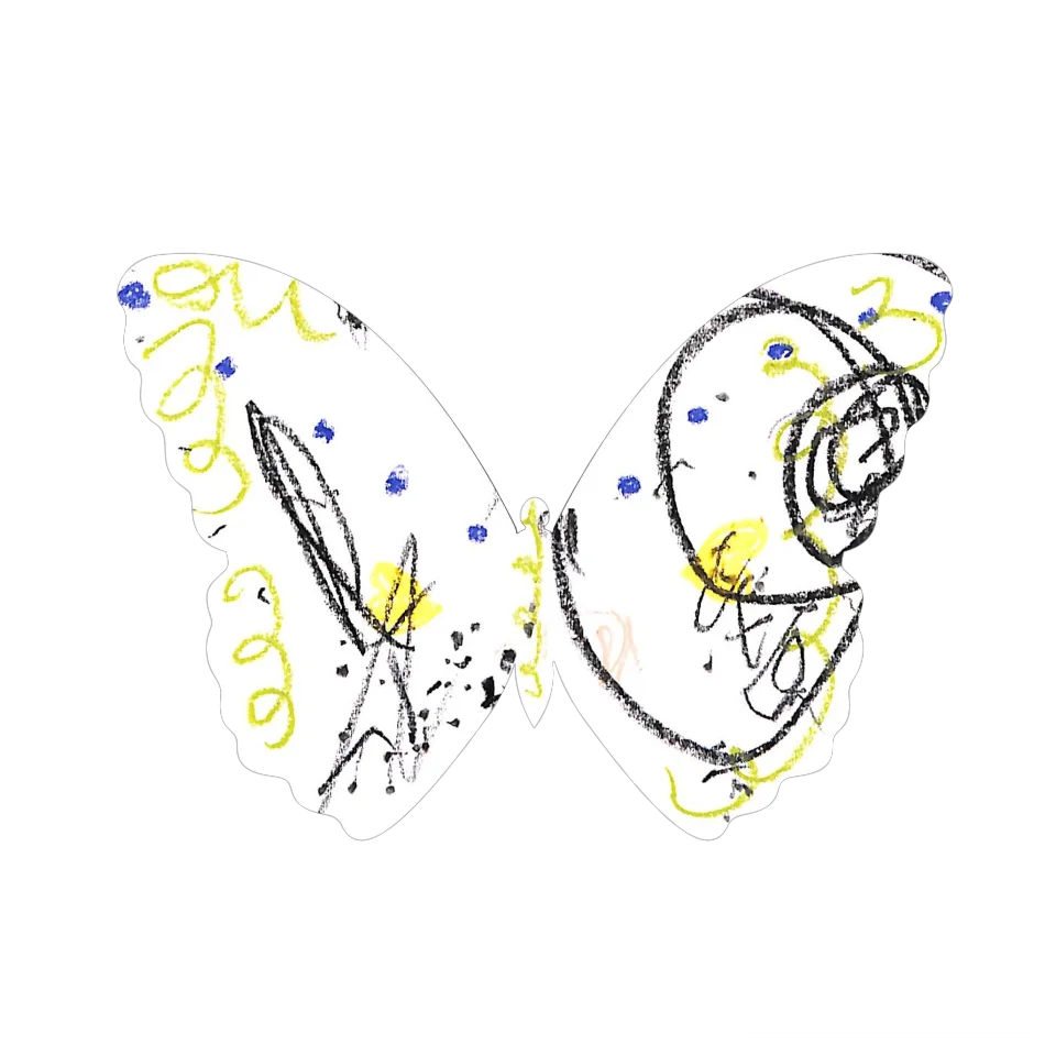 Original Butterfly Image
