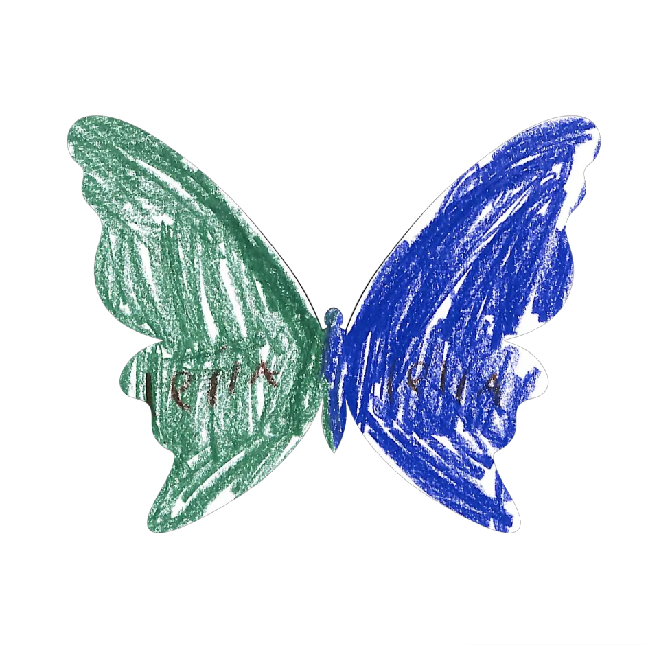 Original Butterfly Image