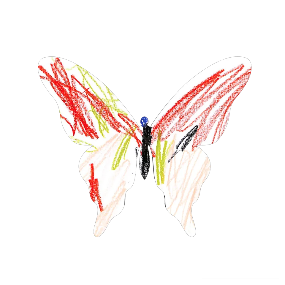 Original Butterfly Image