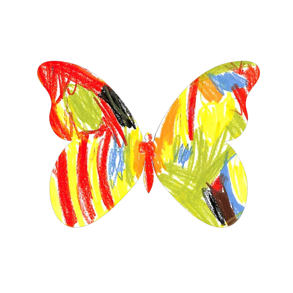 Original Butterfly Image