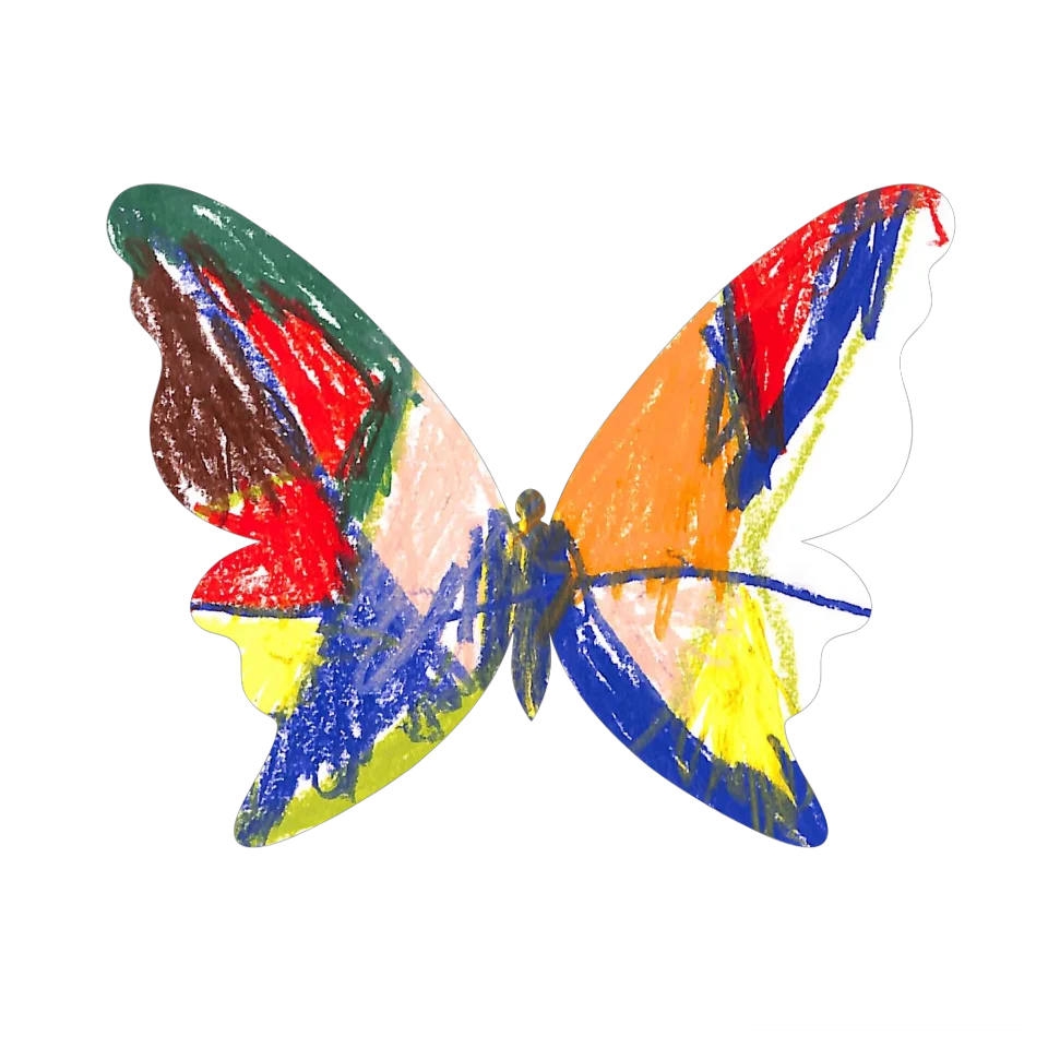 Original Butterfly Image