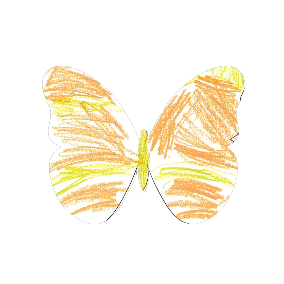Original Butterfly Image