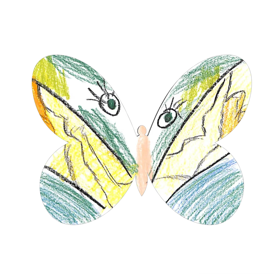 Original Butterfly Image