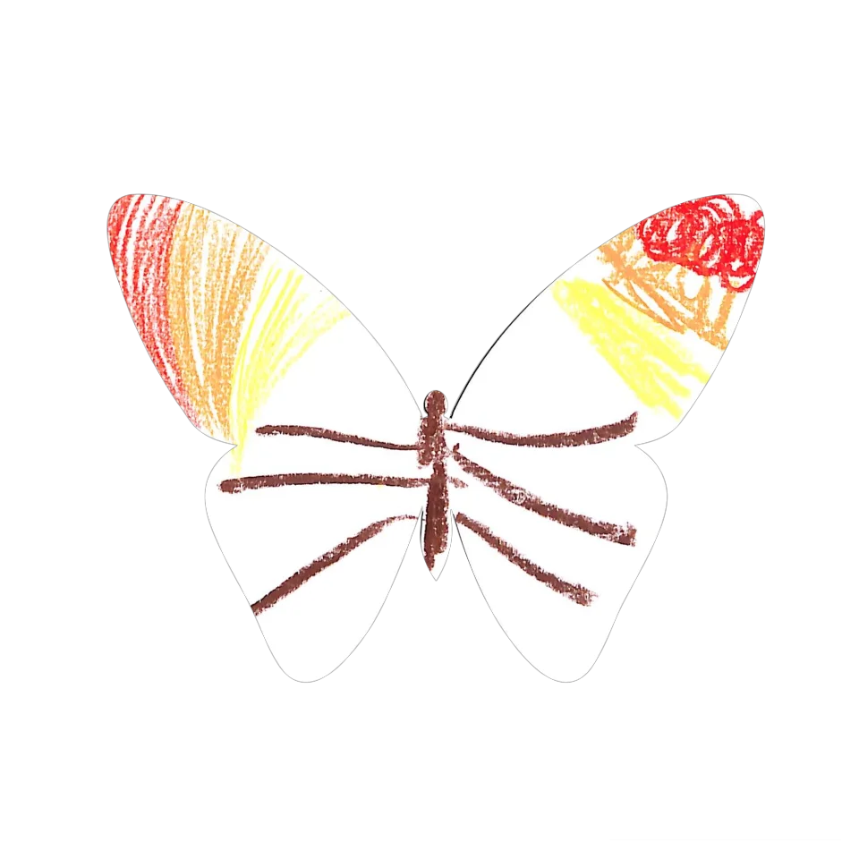 Original Butterfly Image