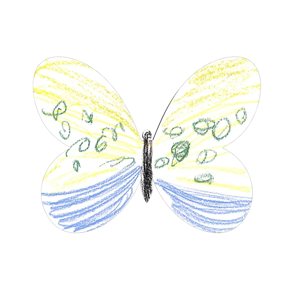 Original Butterfly Image