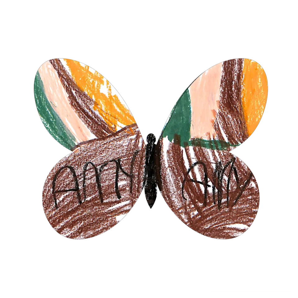 Original Butterfly Image