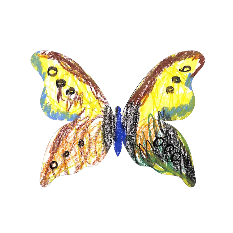 Original Butterfly Image