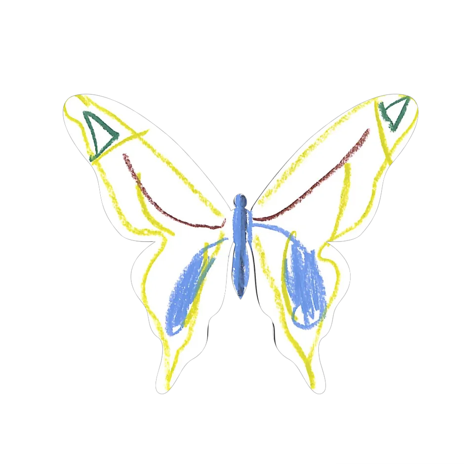 Original Butterfly Image
