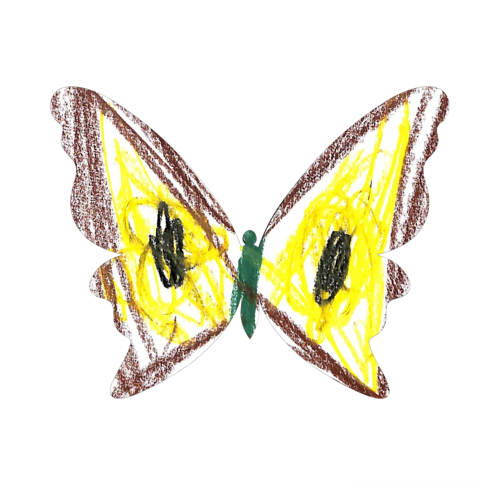 Original Butterfly Image