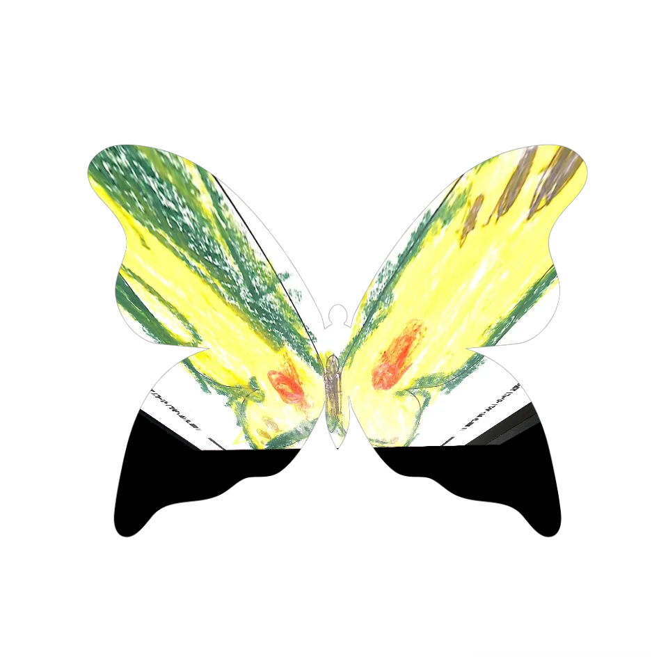 Original Butterfly Image