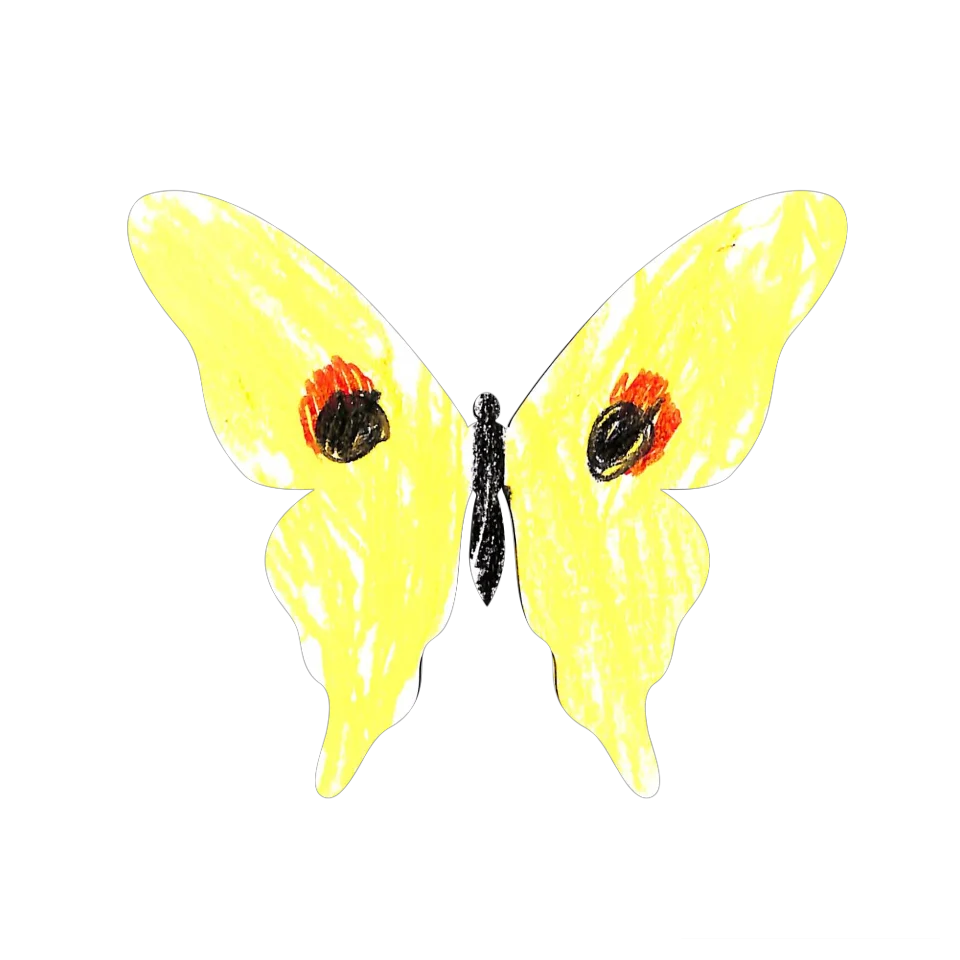 Original Butterfly Image