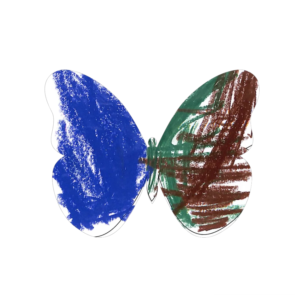 Original Butterfly Image