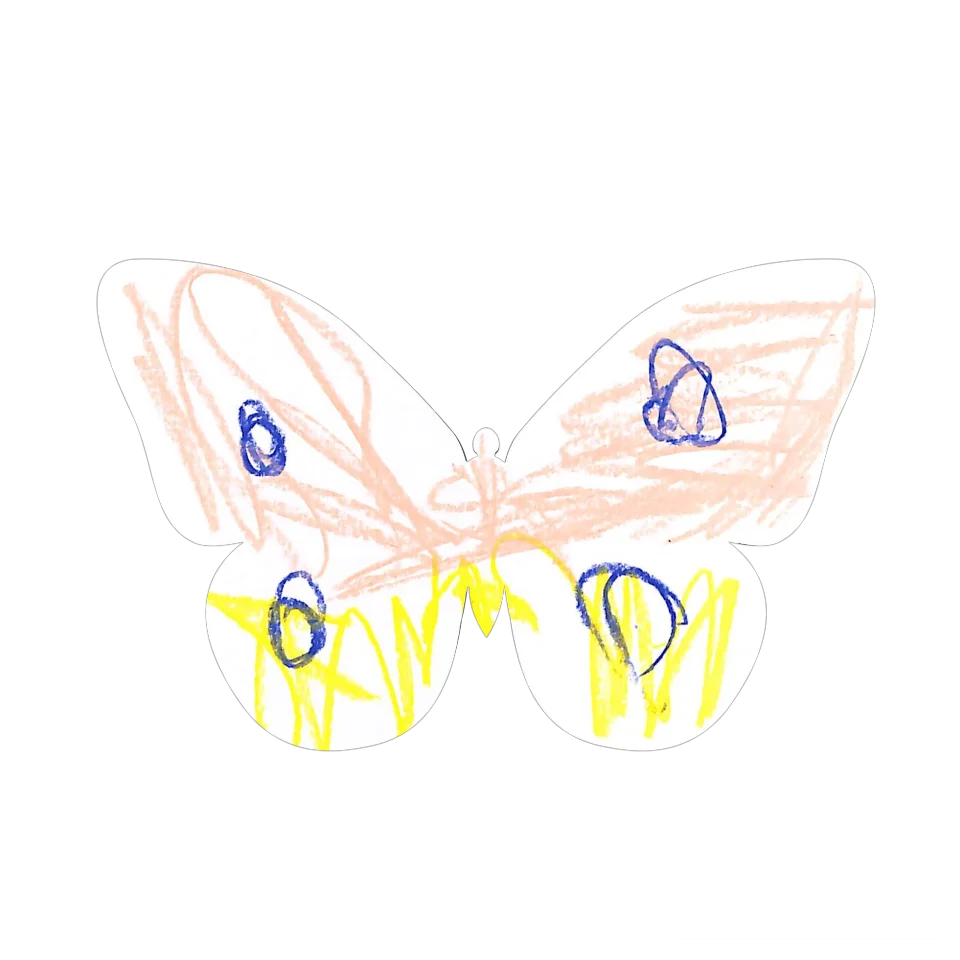 Original Butterfly Image