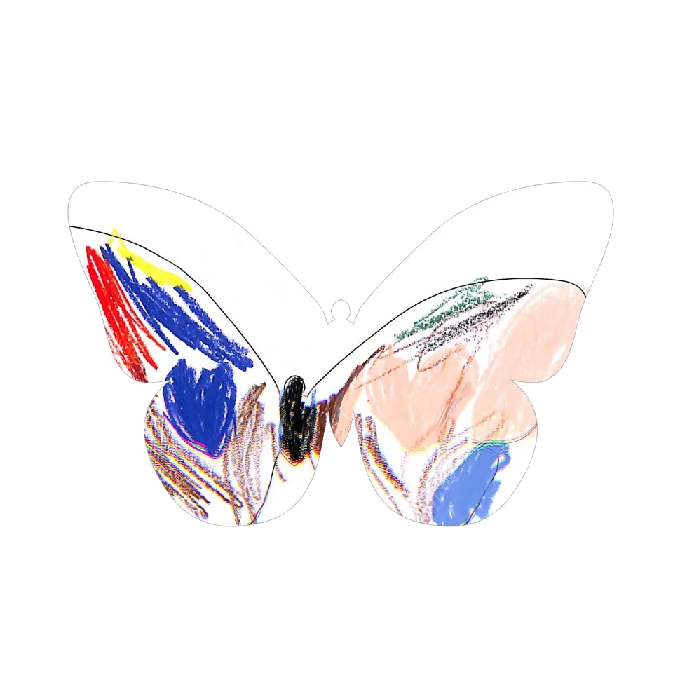 Original Butterfly Image