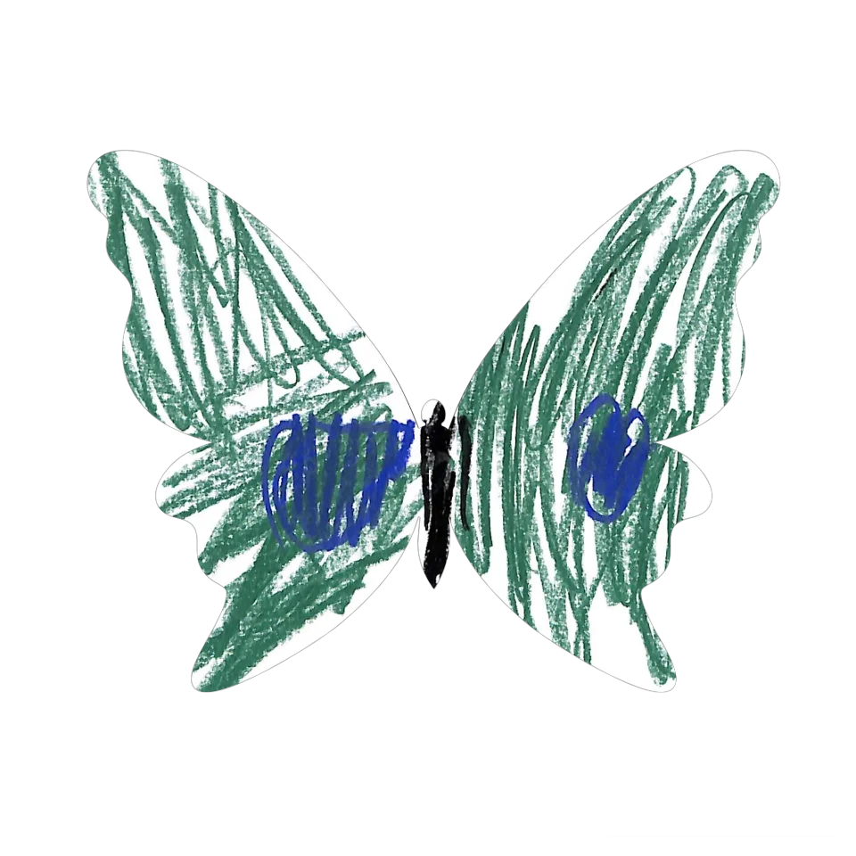 Original Butterfly Image