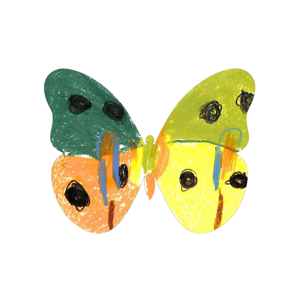 Original Butterfly Image