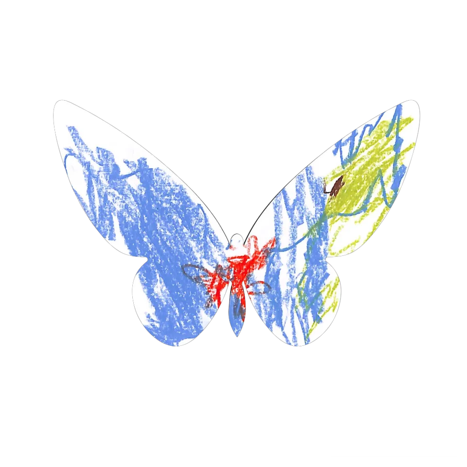Original Butterfly Image