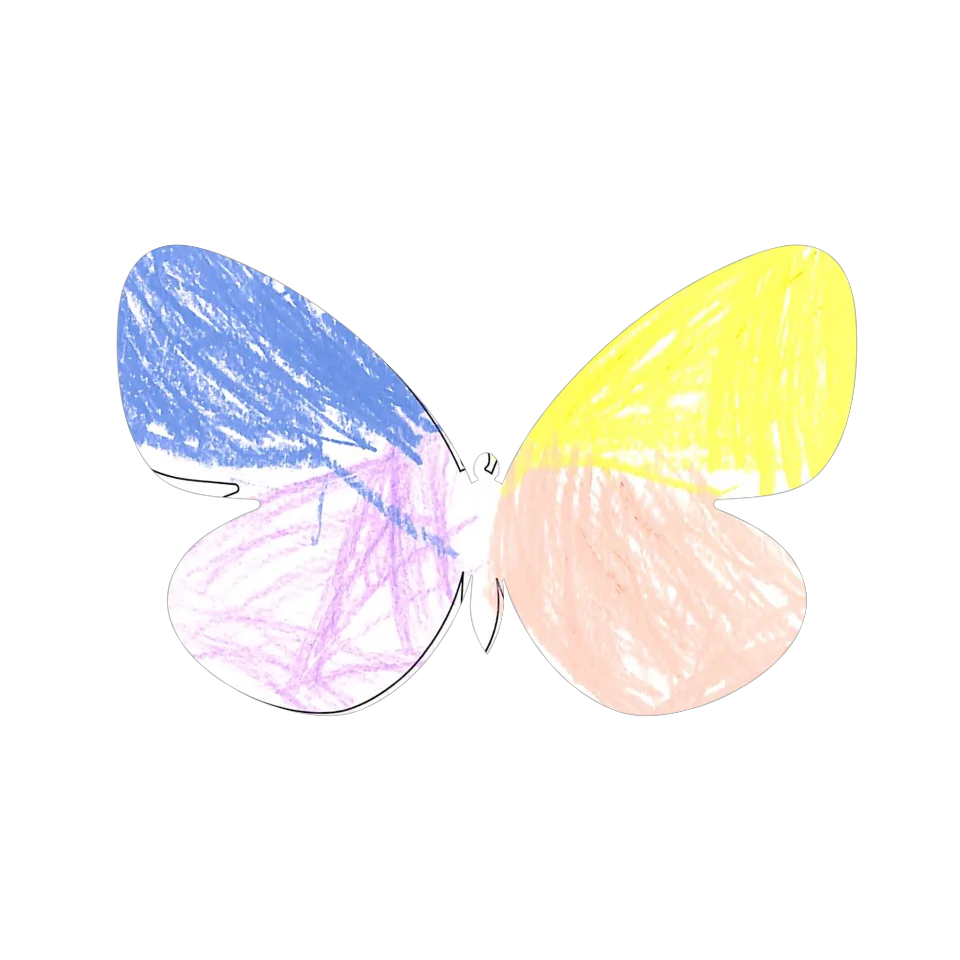 Original Butterfly Image