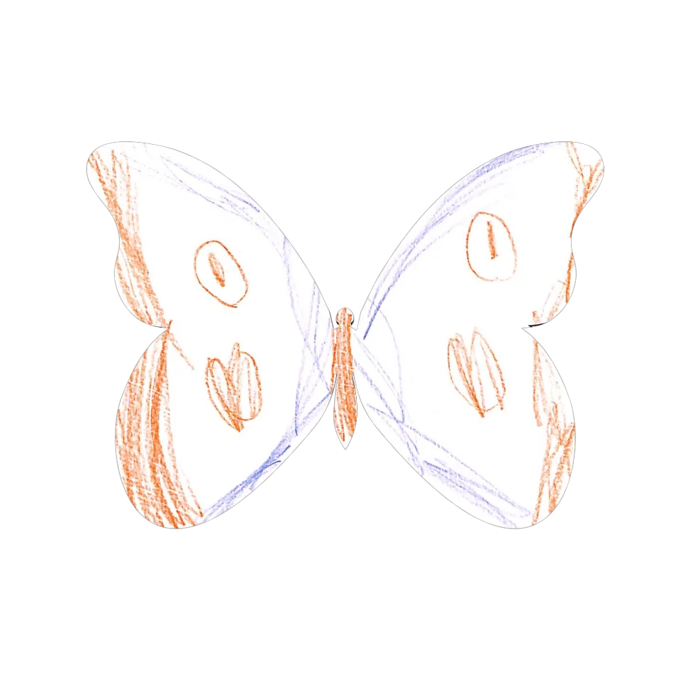 Original Butterfly Image
